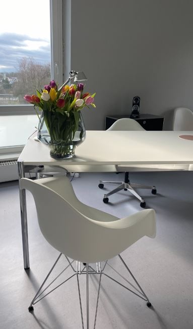 Dr. med. Stefanie Schultze-Mosgau, Jürgensallee 44 in Hamburg