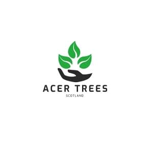 Acer Trees Scotland Logo
