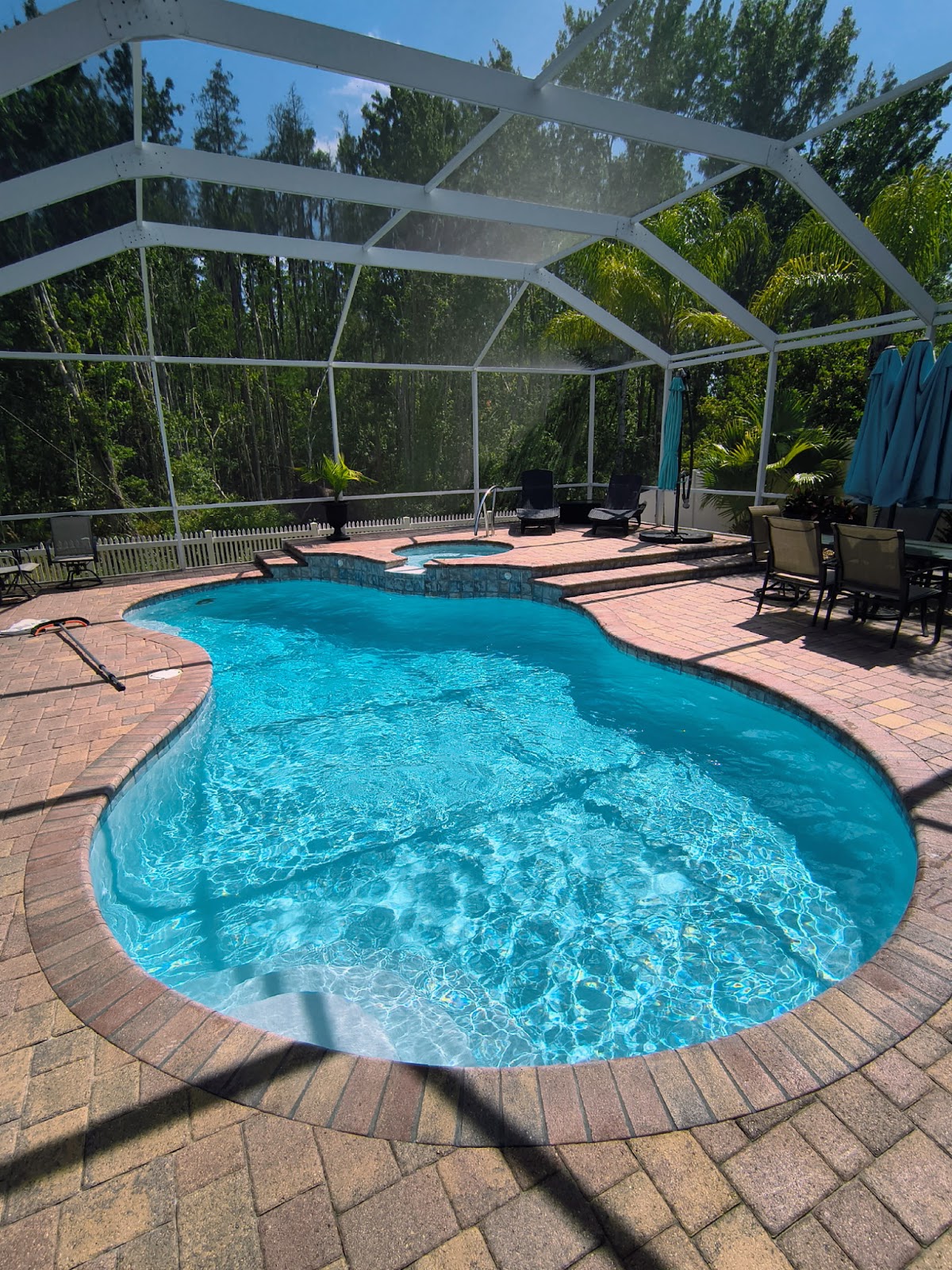 Screen-enclosed freeform backyard swimming pool with bright blue water, brick paver decking, and surrounding greenery.