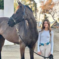 Image 10 | Sandrine Seifert Equestrian