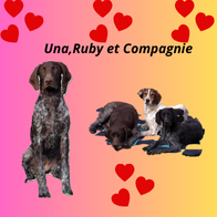 Una, Ruby et Compagnie dressage animal