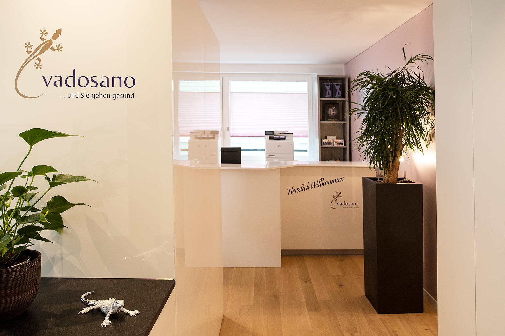 Vadosano GmbH, Wilerstrasse 1A in Flawil