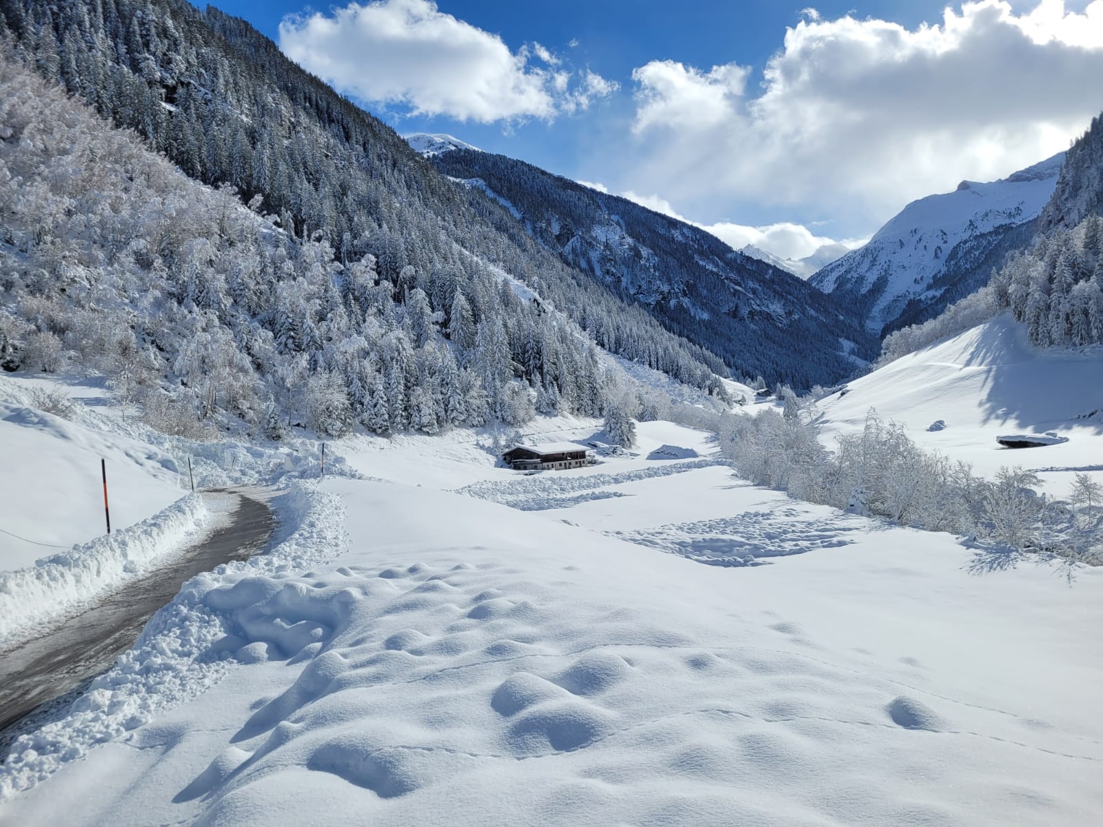 Bild 18 von Gasthaus Häusling Alm