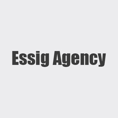 Essig Agency Inc Logo