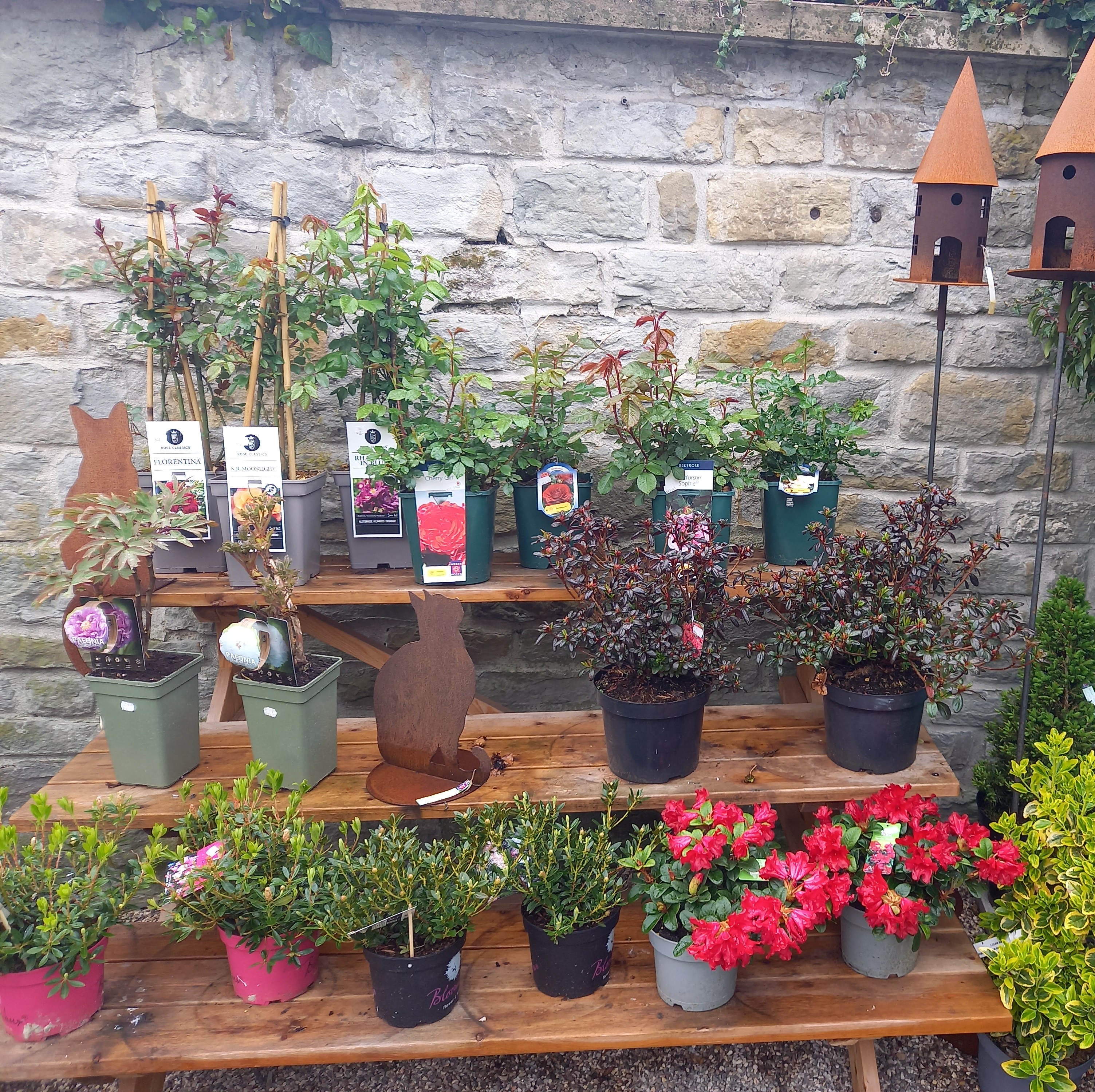 Bild 55 von Grün-Zone