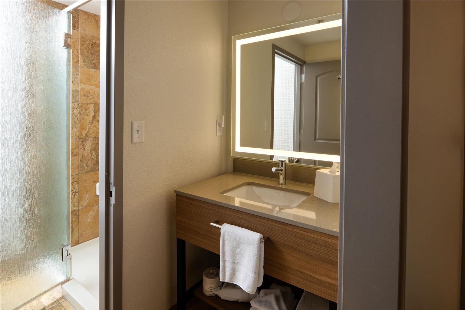 Guest room bath 