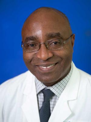 Dr. Nick Orachukwu Onyemeke, MD - Reading, PA - Internal Medicine, Oncology