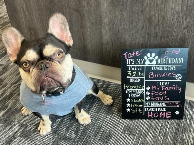 Images Billy Costello - State Farm Insurance Agent