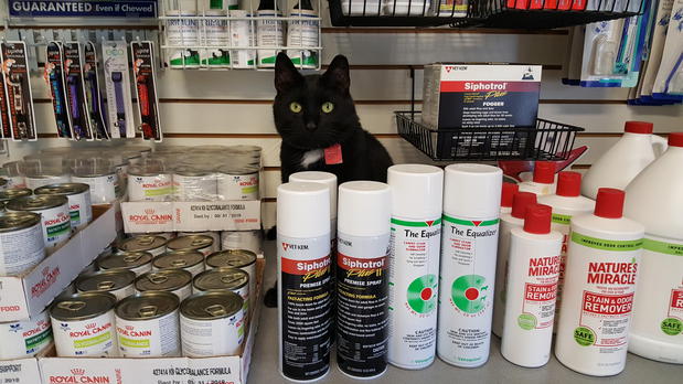 Images Village Veterinary Clinic