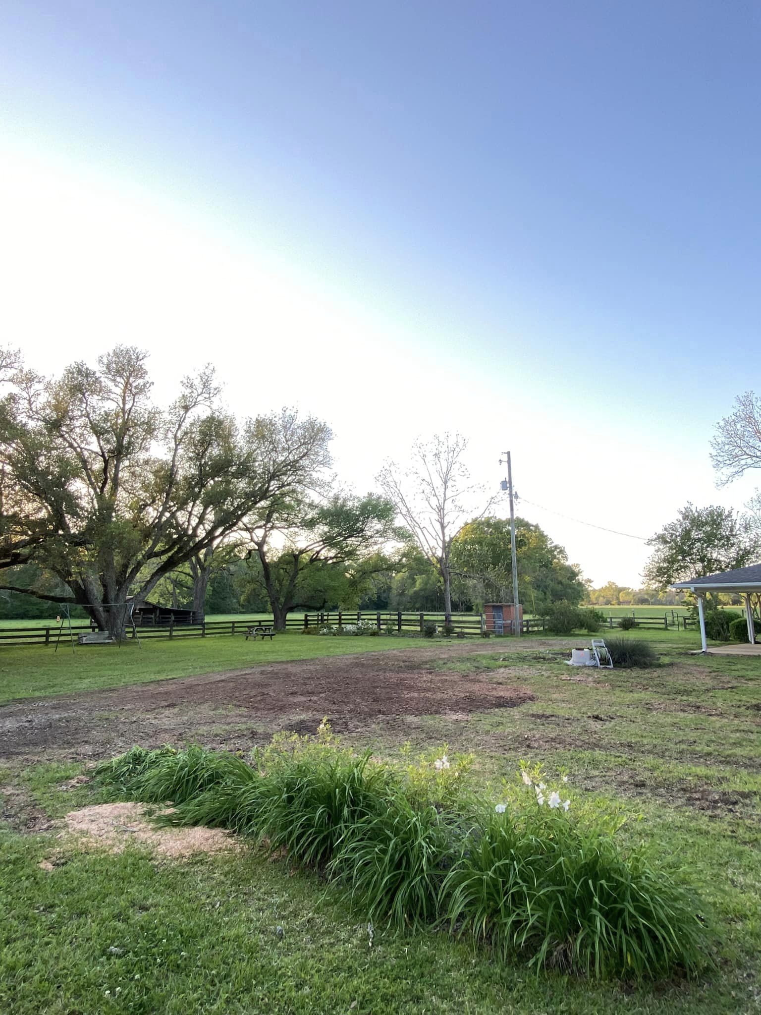 Bynog's Tree Services Image