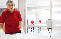 Rossel-Display GmbH & Co KG, Fabrikstrasse 12-16 in Birstein