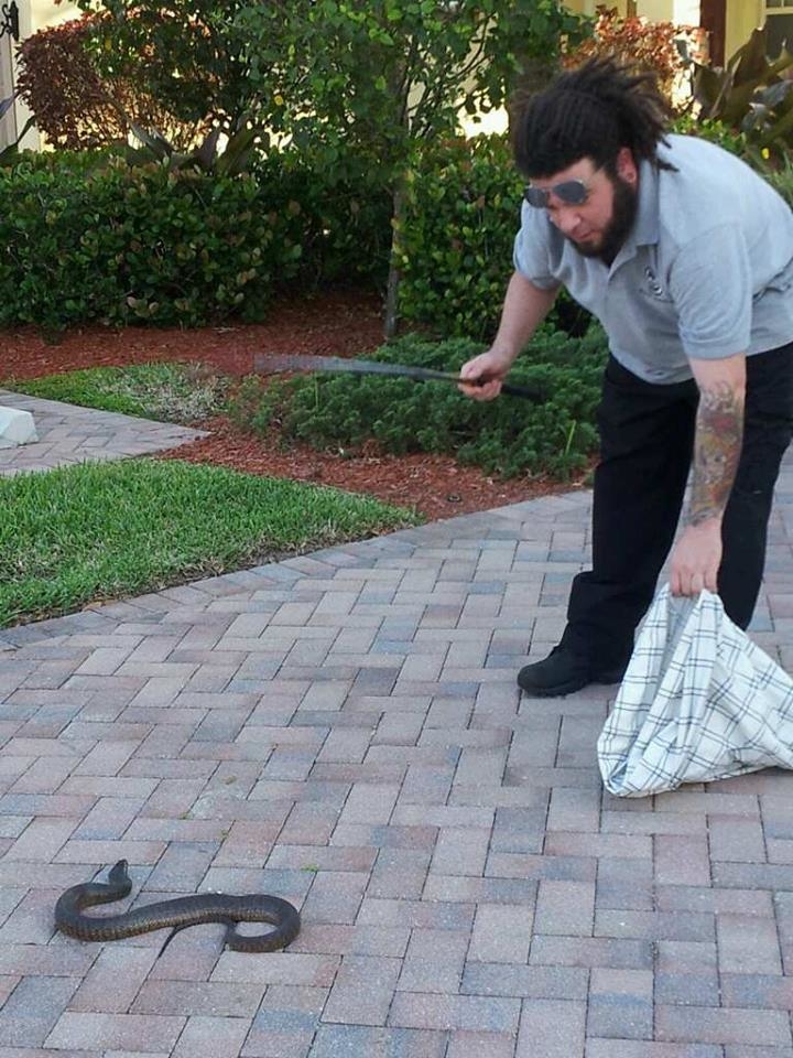 Davie, FL snake removal experts