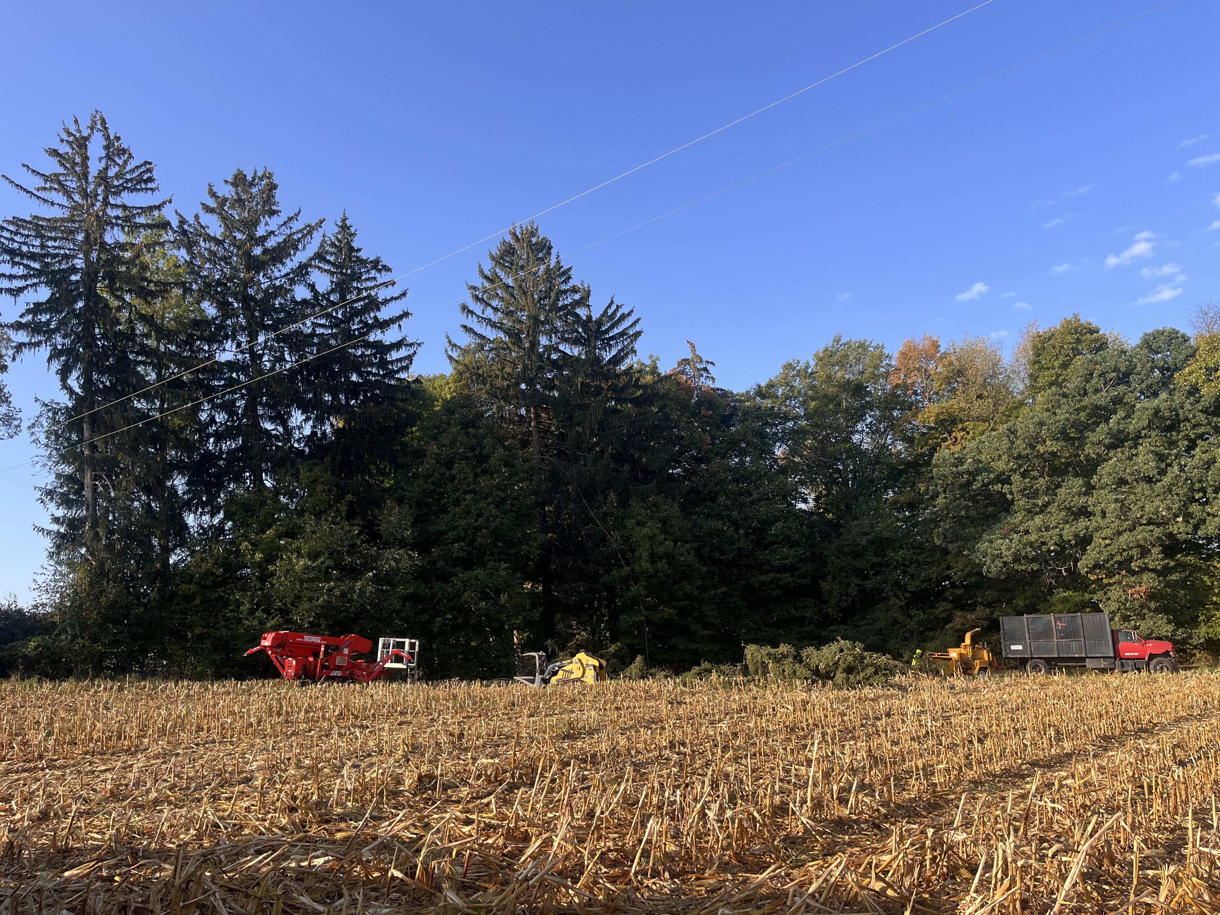 Woodman's Tree Service Image