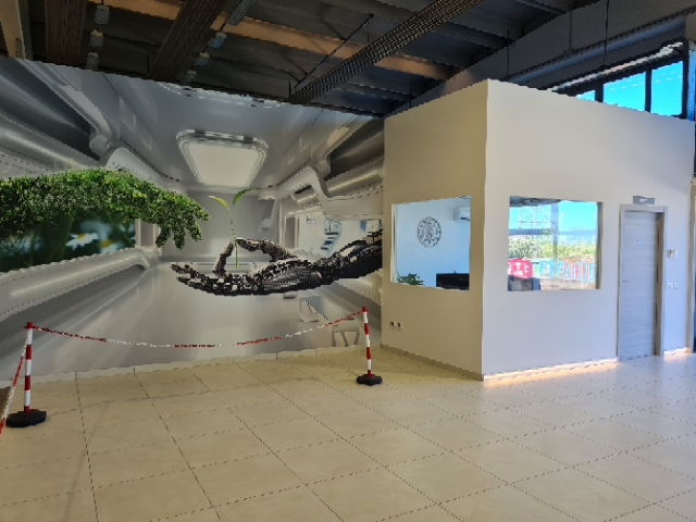 Images Carrozzeria Adriatica