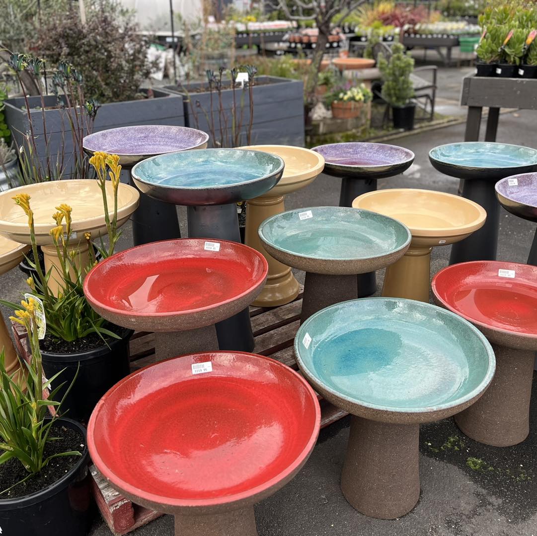 Images Stoneman's Garden Centre