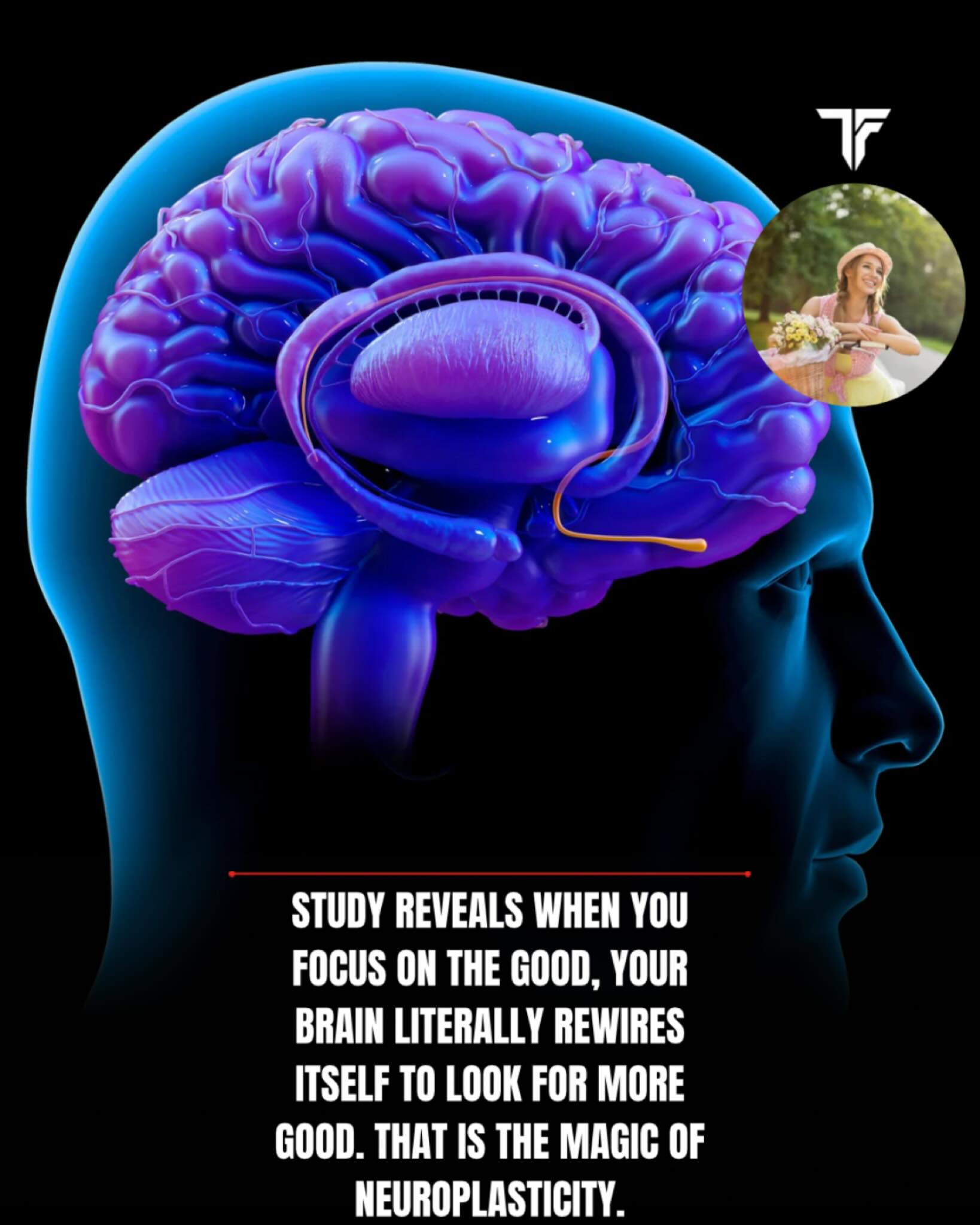 Take the Steps Mindfulness Wellbeing Courses 2