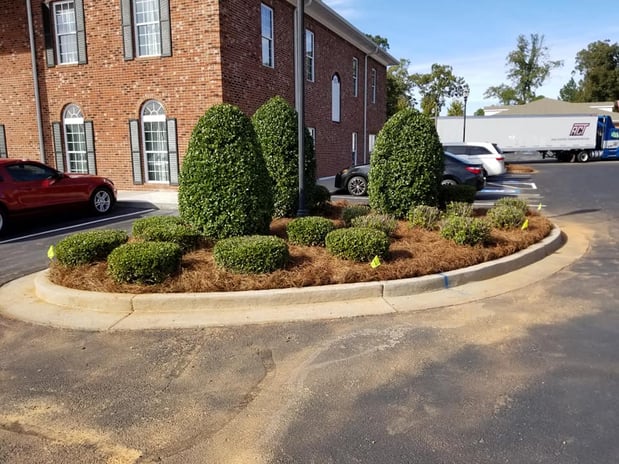 Images Southern Lawn Management, LLC