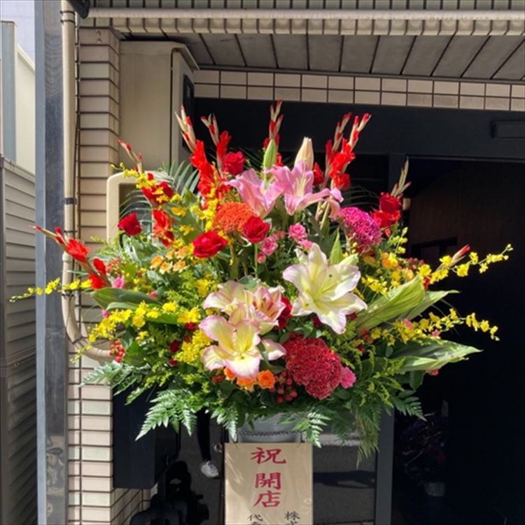 Images 花年
