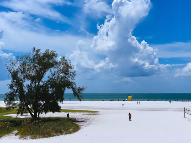 Images Local Life Homes | Sarasota