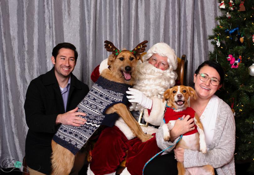 Precious Furs Pet Resort