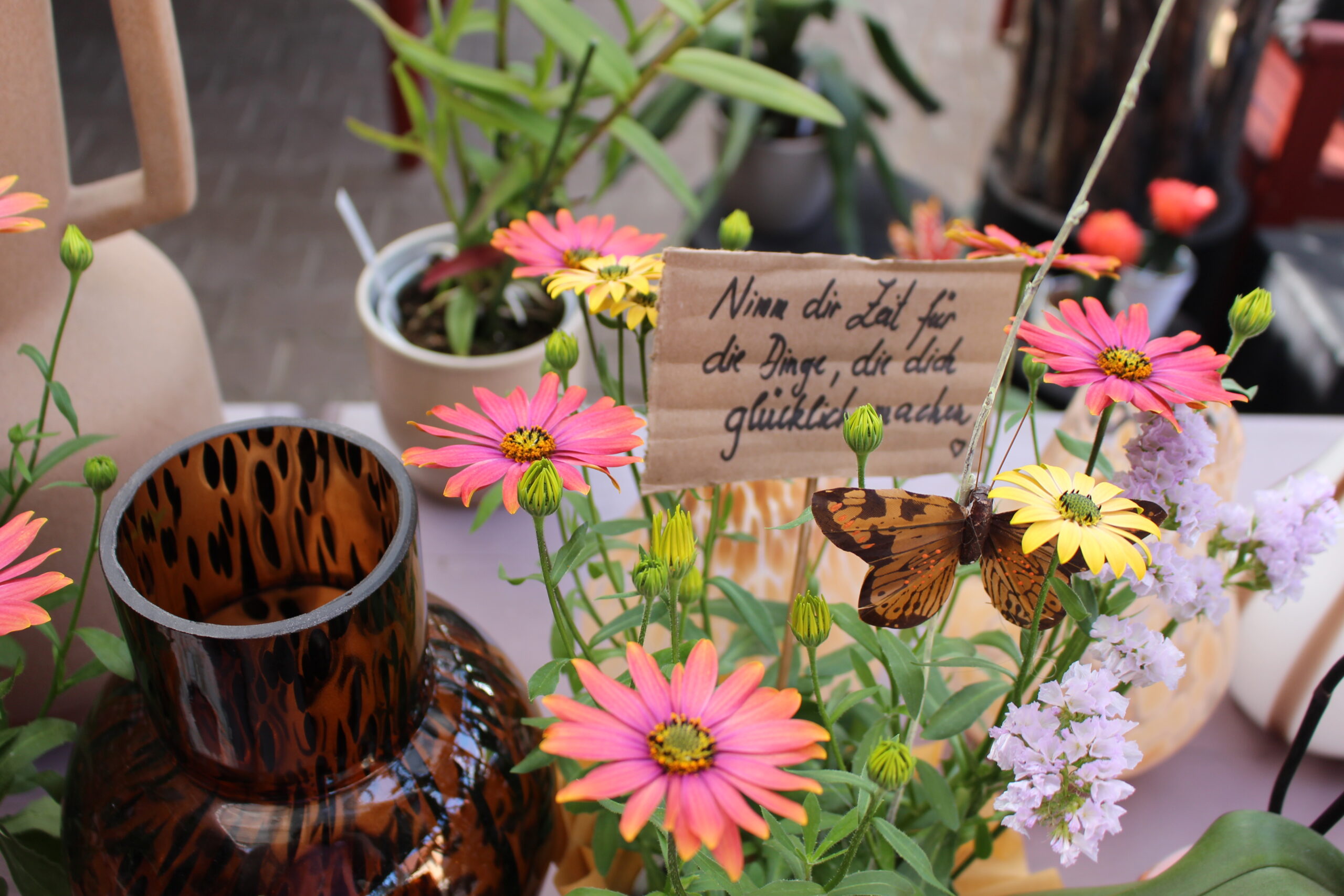 Bild 4 von Blumen Bäume Garten Mölzer