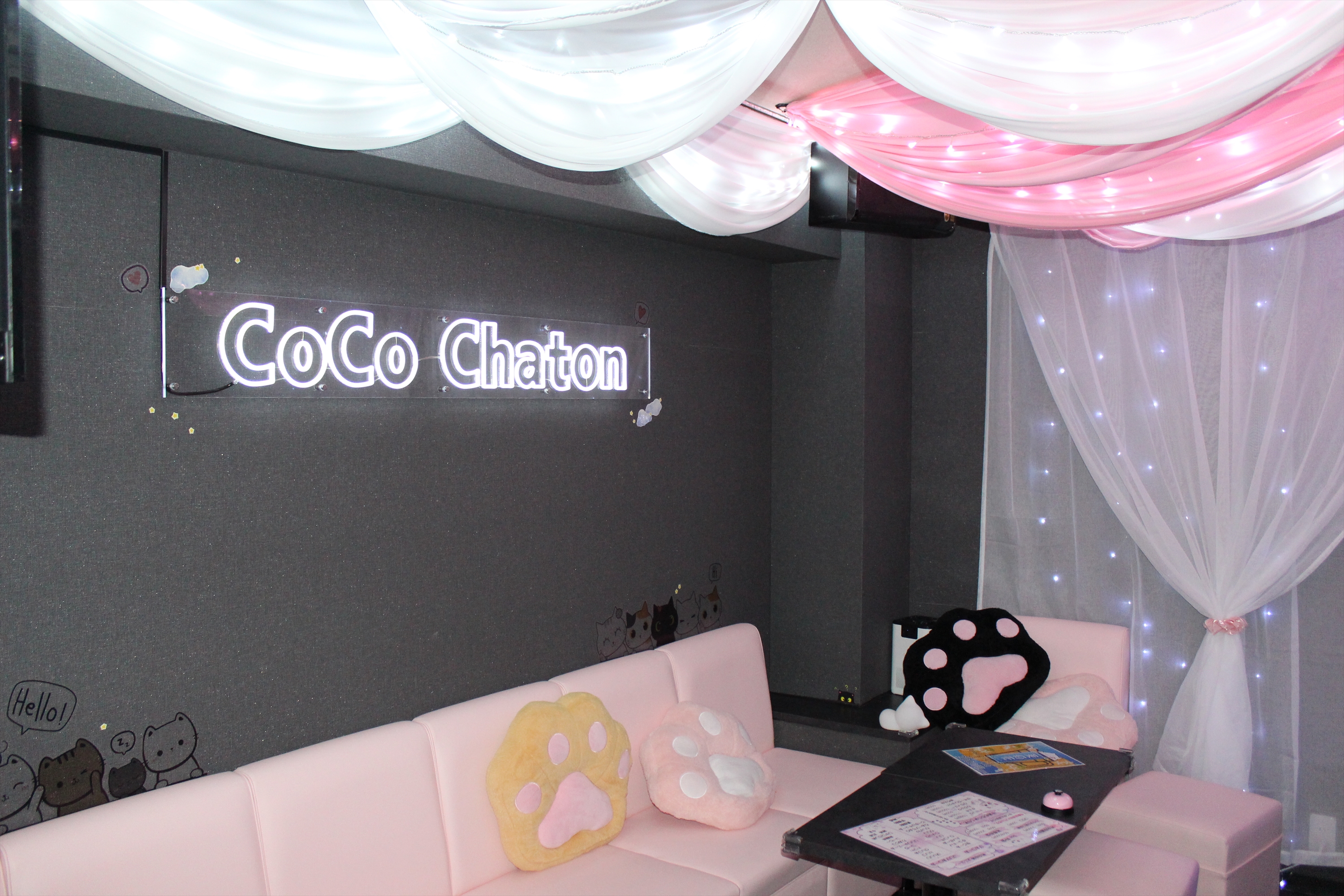 Images CoCo Chaton