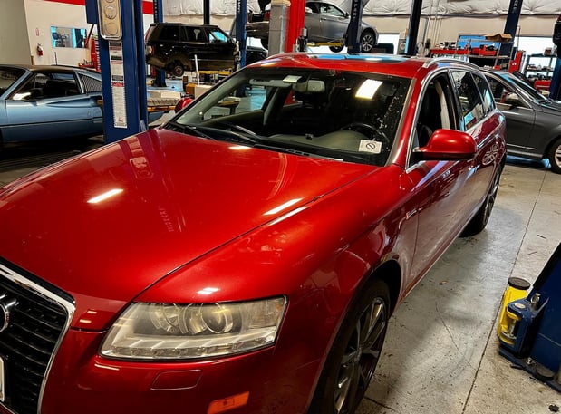 Images Loudoun County Exotics