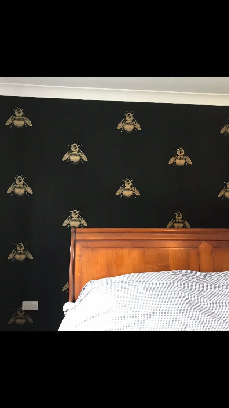 Images Broomhill Painters & Decorators