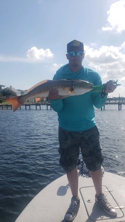 Images E-6 INSHORE FISHING ADVENTURES, LLC