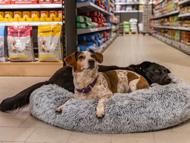 Fressnapf Hamburg-Osdorf, Osdorfer Landstraße 393 in Hamburg-Osdorf