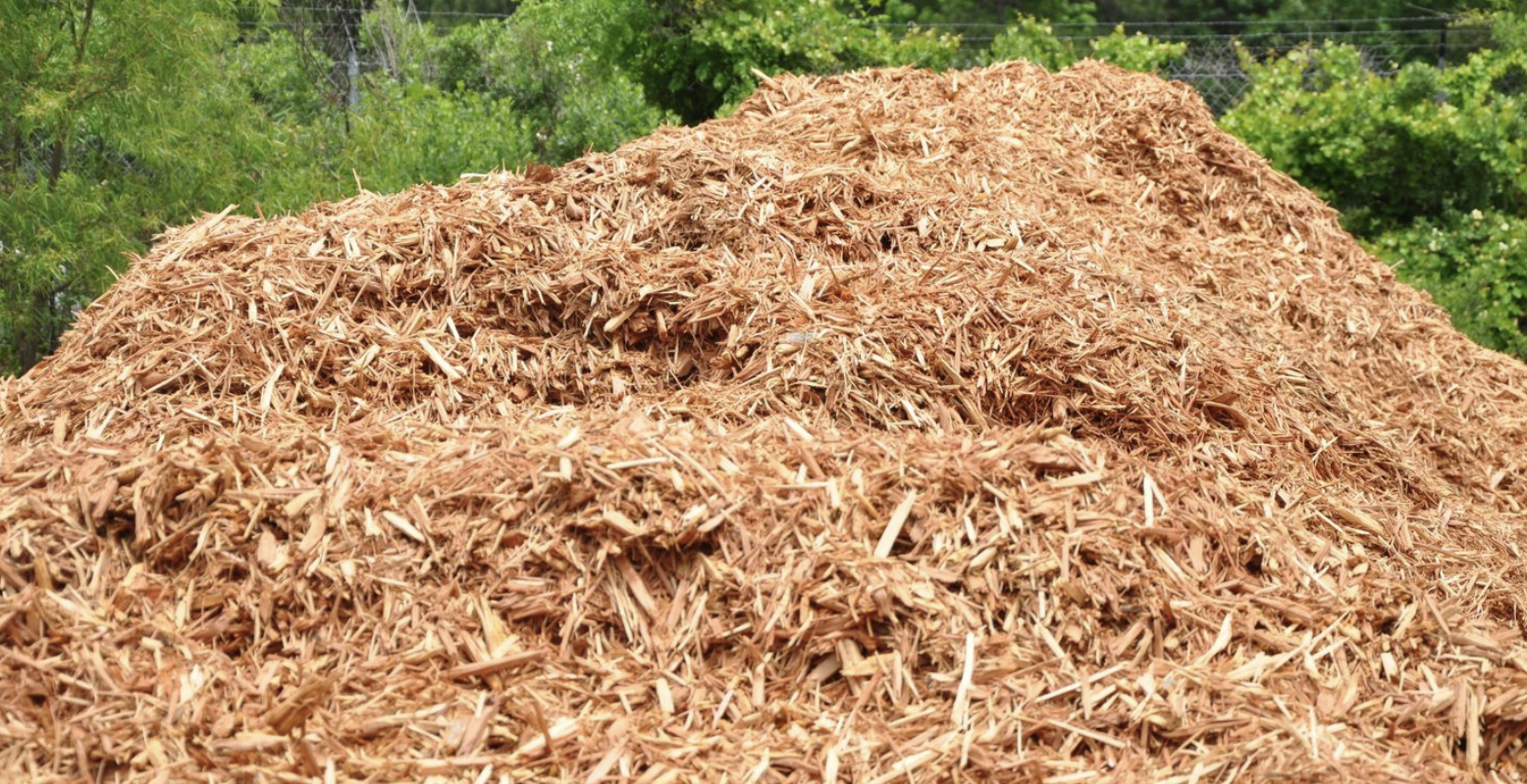 Cedar Mulch near me now. Ideal for various landscaping needs, including flower beds and walkways
The natural cedar scent enhances the garden's ambiance
Enriches the soil by adding organic material to the soil, as it breaks down
The Cedar Mulch is a fibrous, extra-fine shredded cedar mulch. It is eco-friendly and acts as a dense and healthy ground cover. It is ideal for high wind areas, retains soil moisture, prevents weed growth, and enhances soil fertility. It is designed to keep the soil cool. APEX
Cary
Fuquay-Varina
Holly Springs
New Hill
Morrisville
Feltonville
Friendship
Moncure
Wilsonville
Bells
Pittsboro
DURHAM
Morrisville
Research Triangle Park
Cary
Carpenter Village
Clegg
Carrboro
Genlee
Southpoint
Bethesda
Mebane
Blands
Oak Grove
Chapel Hill
Hillsborough
Friendship
RALEIGH
Rolesville
Knightdale
Wake Forest
Wendell
Zebulon
Youngsville
Lizard Lilck
Eagle Rock
Wakefield
GARNER
Clayton
Willow Springs
Smithfield
Wilsons Mills
Archer Lodge
Fuquay-Varina
White Oak
Glen Laurel Road
Auburn
Turner Farms
Clevelands Oaks
Riverwood Dr
Flowers
McGee Crossroads
Siteone Landscape Supply
Triangle Landscape Supplies.