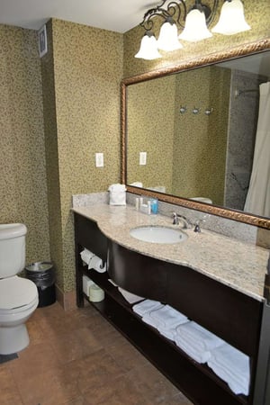 Images Hampton Inn & Suites Houston-Katy