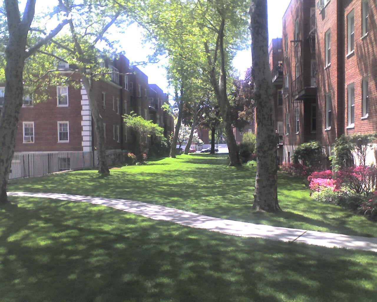 Lawn Doctor