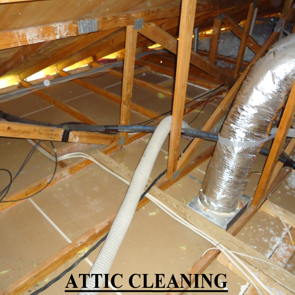 Attic cleaning and insulation removal service