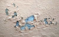 stucco paint repair