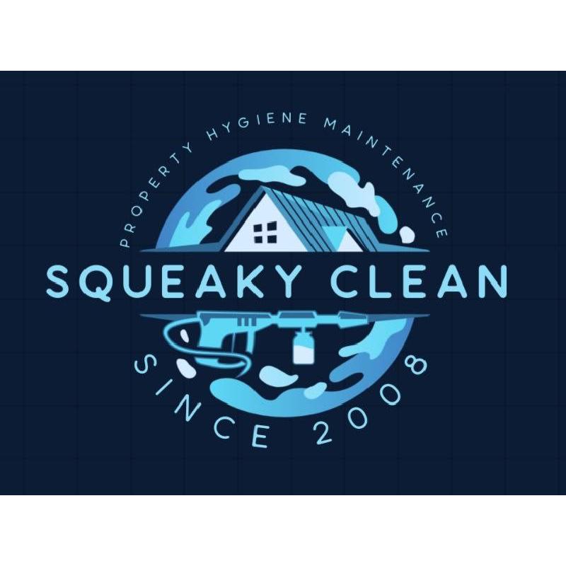 Squeaky Clean South Hams - Totnes, Devon TQ9 7RA - 07873 472866 | ShowMeLocal.com