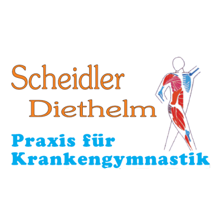 Logo Diethelm Scheidler Physiotherapeut