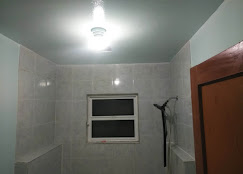 Aragon's Pro Painting Image