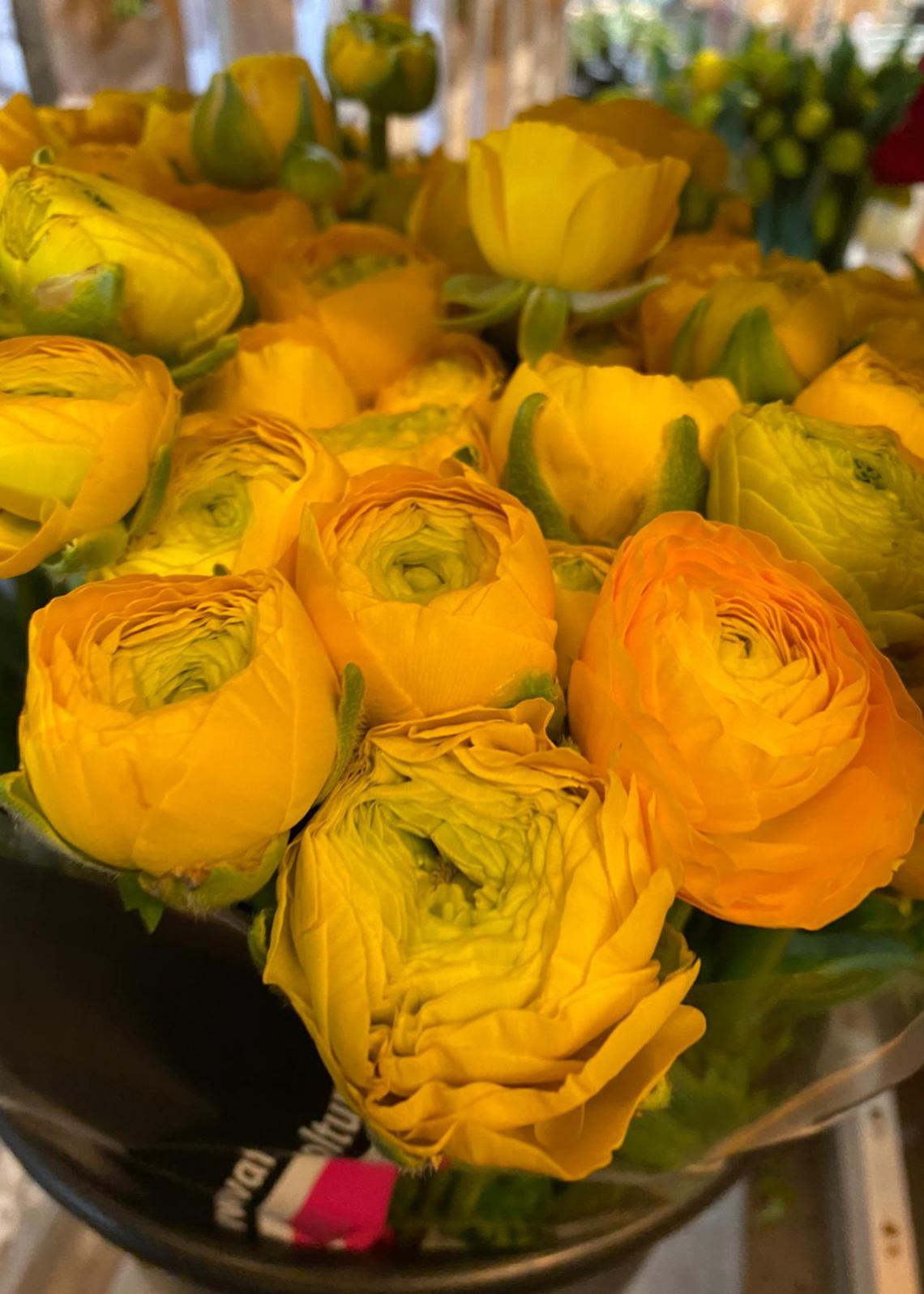 Bilder Blattgold Blumen & Schönes