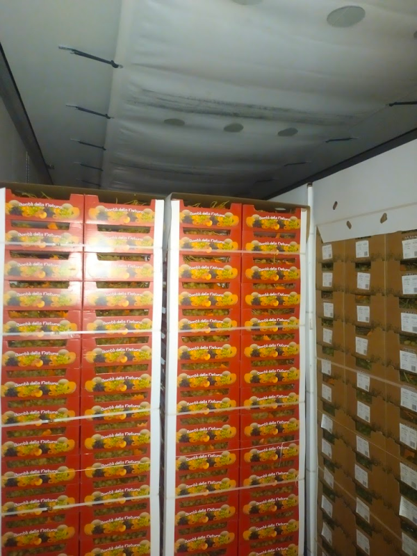 Images Azienda Agricola Masseria Pepe S.n.c