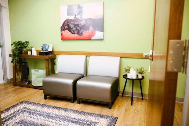 Images VCA North Rockville Animal Hospital