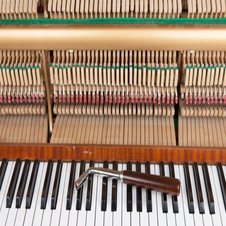 Image 2 | Joel Levine Piano Tuning