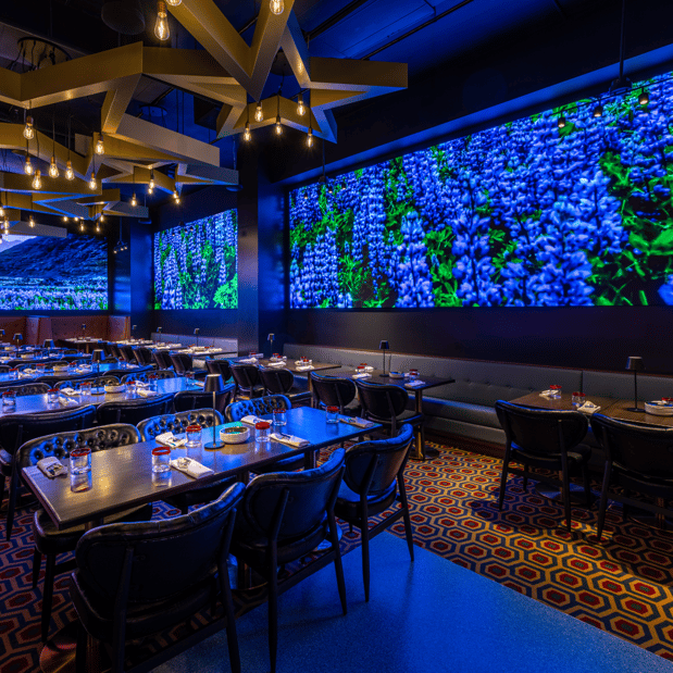 Images Planet Hollywood New York