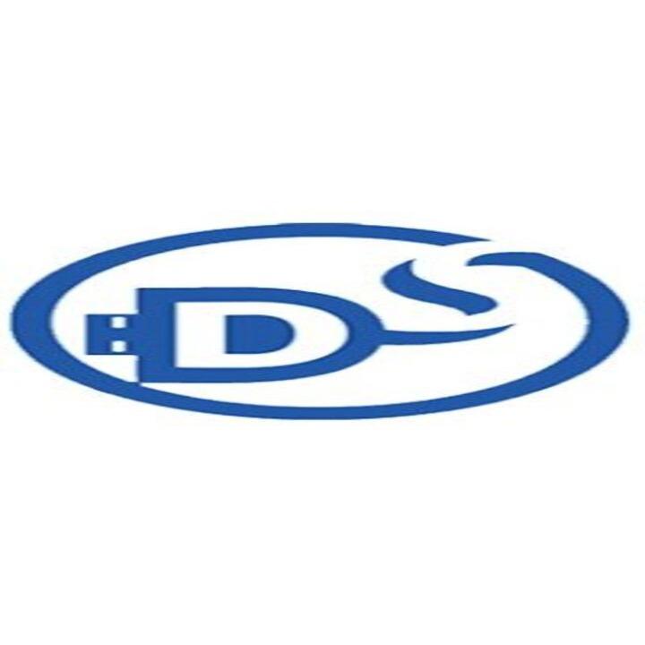 Decisive Data Systems | IT Support &amp; Managed IT Services Logo