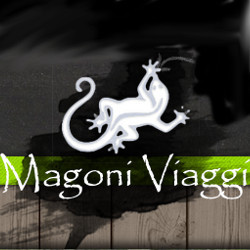 Magoni Viaggi Logo