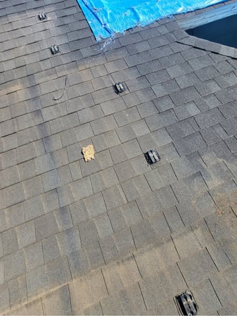 Images HALO Roofing LLC