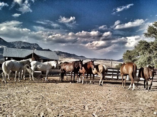 Images Rand Creek Ranch