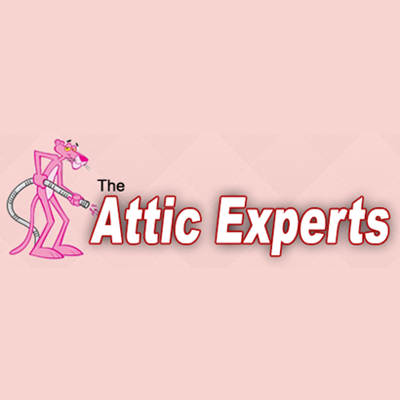 Attic Experts