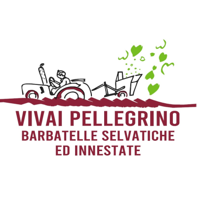Vivai Pellegrino - Barbatelle Selvatiche ed Innestate Logo