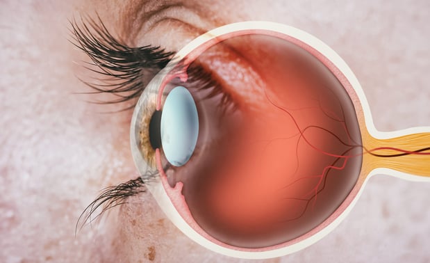 Images Northeast Ohio Eye Surgeons - Stow